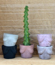 Load image into Gallery viewer, Mini Boob planter