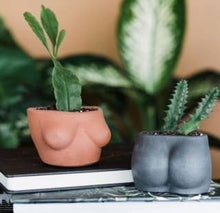 Load image into Gallery viewer, Mini Boob planter
