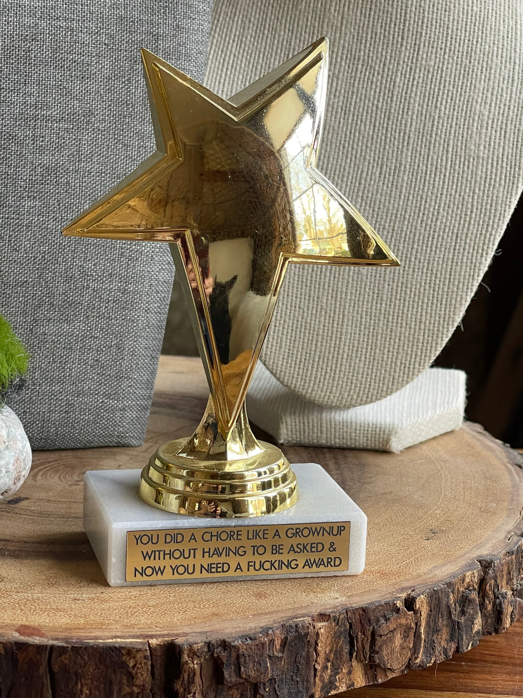 You Did A Chore Trophy