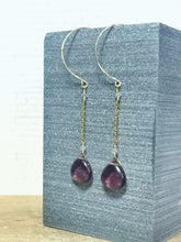 Load image into Gallery viewer, Willful Ignorance Is Not A Virtue Earrings
