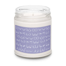 Load image into Gallery viewer, Boobies Scented Soy Wax Candle - 9oz
