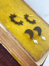 Load image into Gallery viewer, How Many Sets Of Standards Do You Have Cause I Can See At Least Two Right Now Earring Set - Rust
