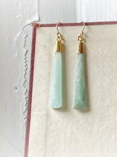 Load image into Gallery viewer, Congratulations On Your Opinion. You&#39;re The First Person To Have One Earrings
