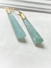 Load image into Gallery viewer, Congratulations On Your Opinion. You&#39;re The First Person To Have One Earrings
