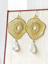 Load image into Gallery viewer, It&#39;s Absolutely Amazing How Facts Don&#39;t Seem To Apply To You Earrings
