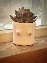 Load image into Gallery viewer, Painted Cement Boob Pots
