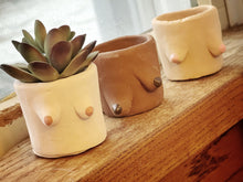 Load image into Gallery viewer, Painted Cement Boob Pots
