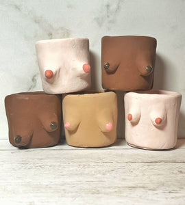 Painted Cement Boob Pots