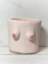 Load image into Gallery viewer, Painted Cement Boob Pots
