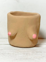 Load image into Gallery viewer, Painted Cement Boob Pots
