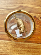 Load image into Gallery viewer, Golden Cat Jar
