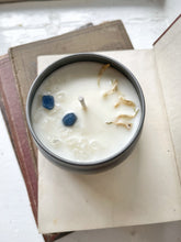 Load image into Gallery viewer, Sapphire &amp; Spruce Candle Stash Jar
