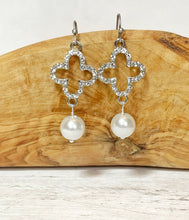 Load image into Gallery viewer, What Makes You Think I Owe You A Lifestyle I Don&#39;t Want To Live Earrings
