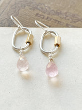 Load image into Gallery viewer, I Understand You Have Problems But Work Them Out With A Professional Not On Me Earrings
